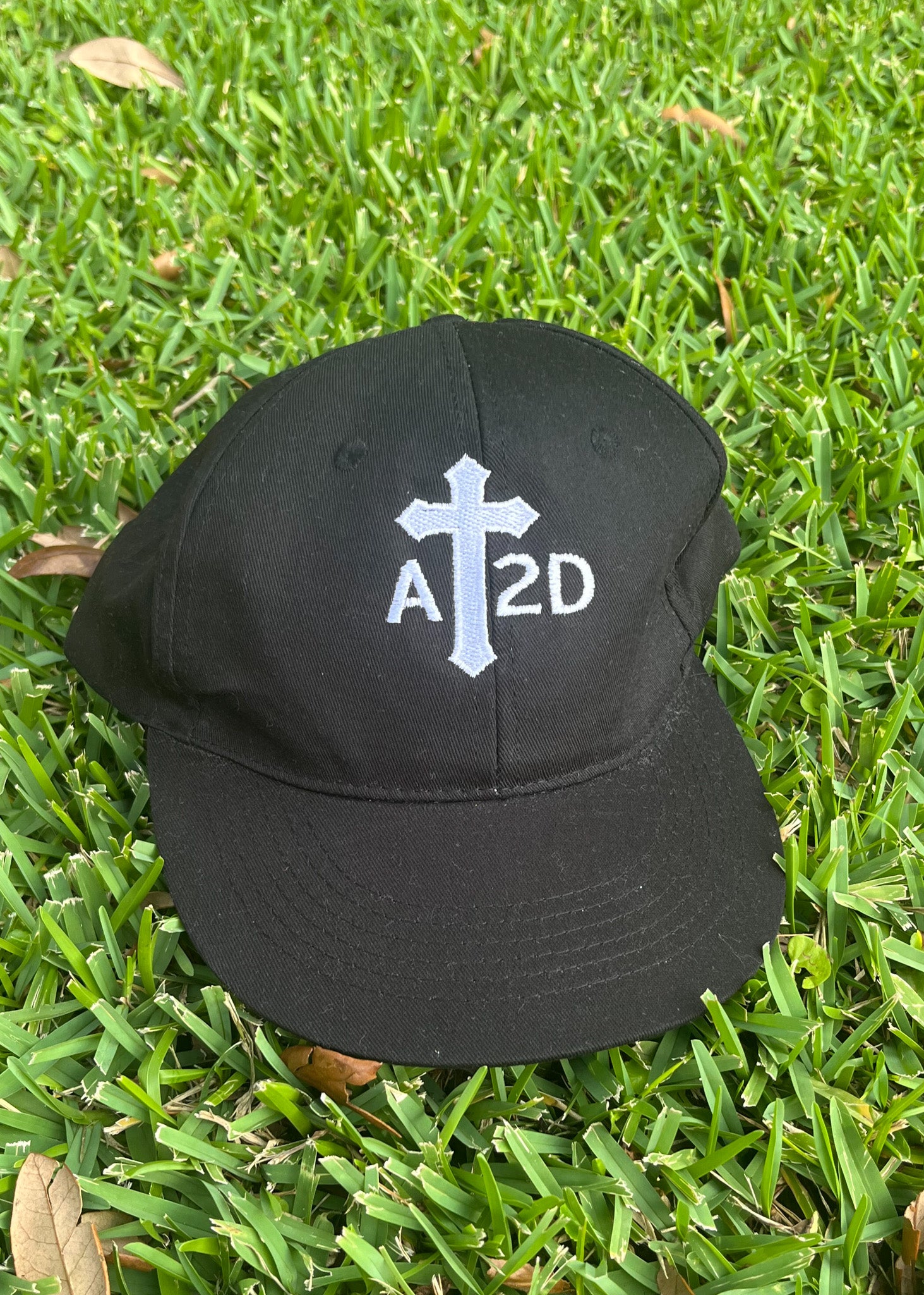 AT2D Baseball Hat