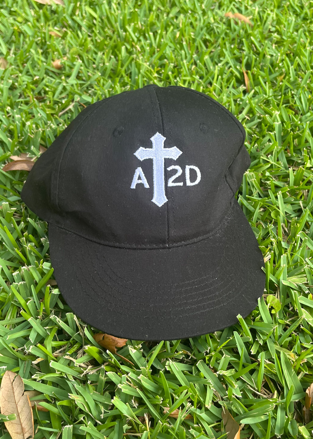 AT2D Baseball Hat