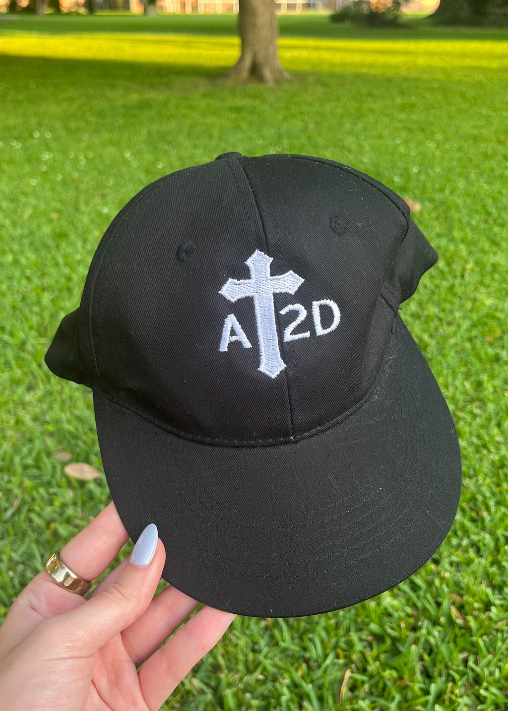 AT2D Baseball Hat